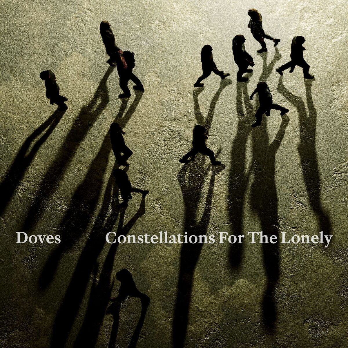 Album cover of Constellations For The Lonely