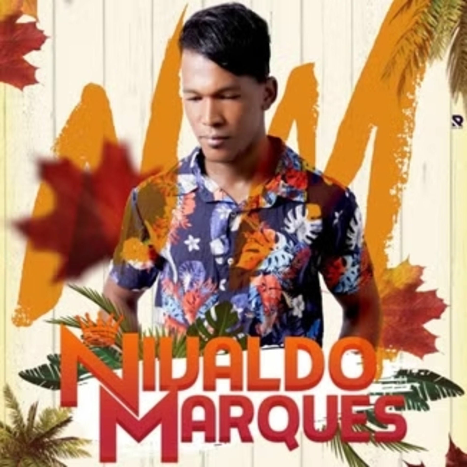 Album cover of Ao Vivo em São Felipe (Live)