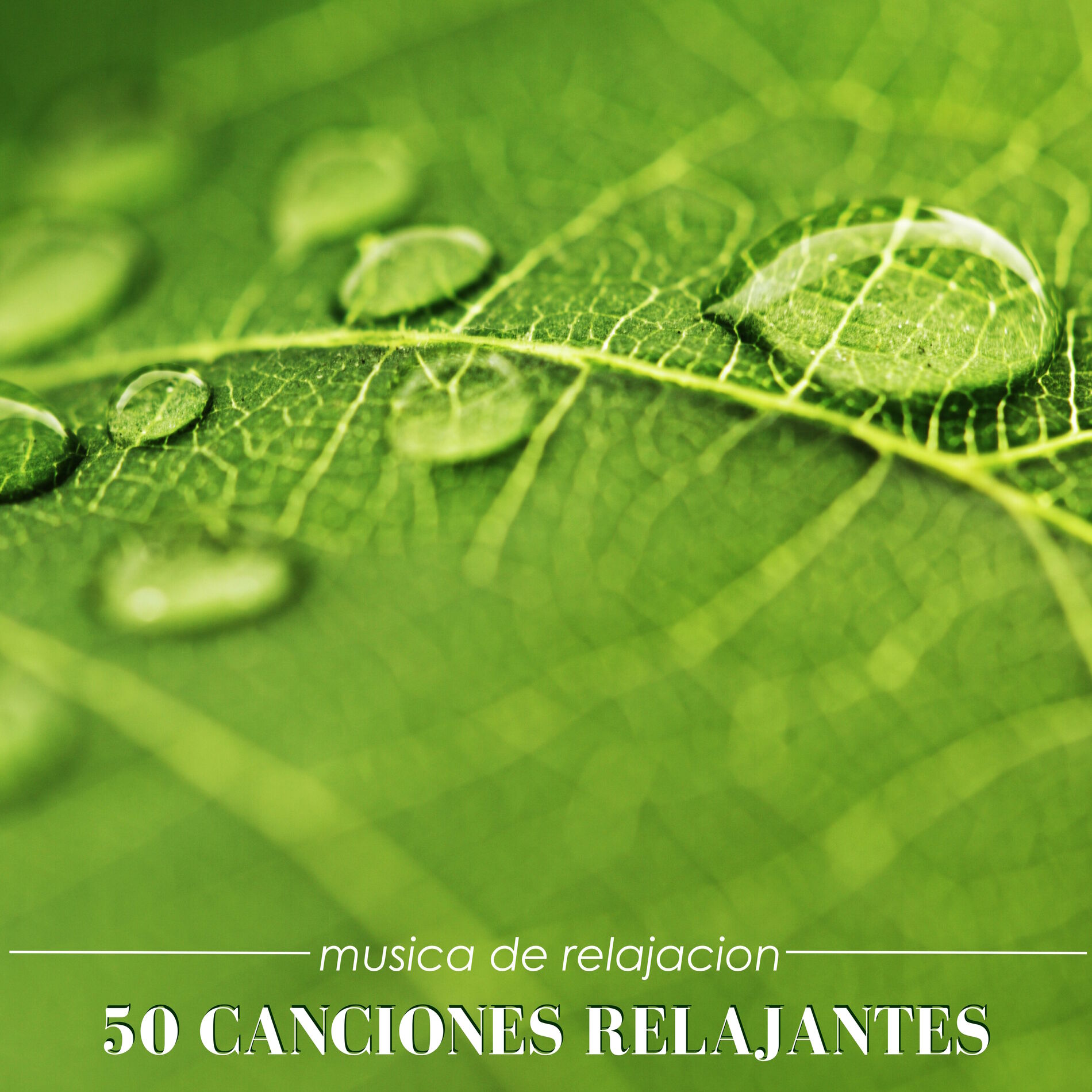 Album cover of Musica de la Naturaleza
