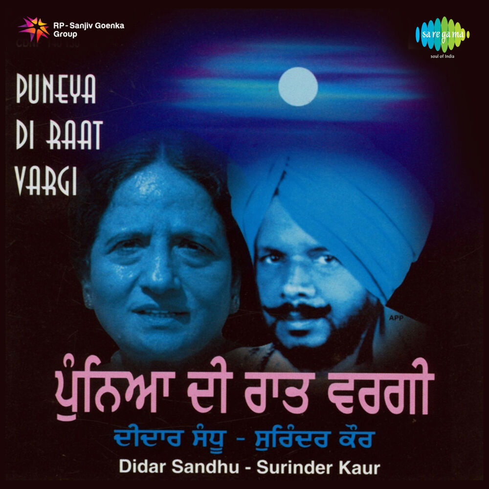 Picture of Puneya Di Raat Vargi