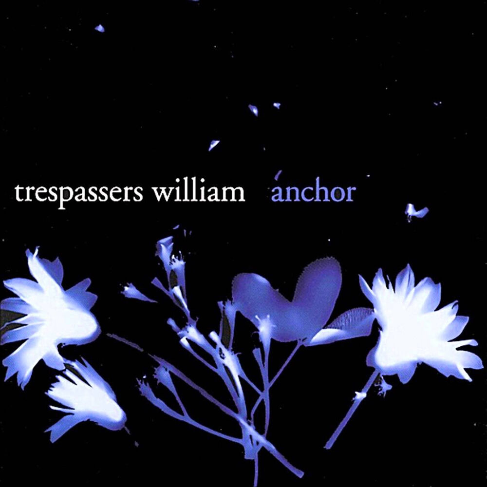 Picture of Anchor
