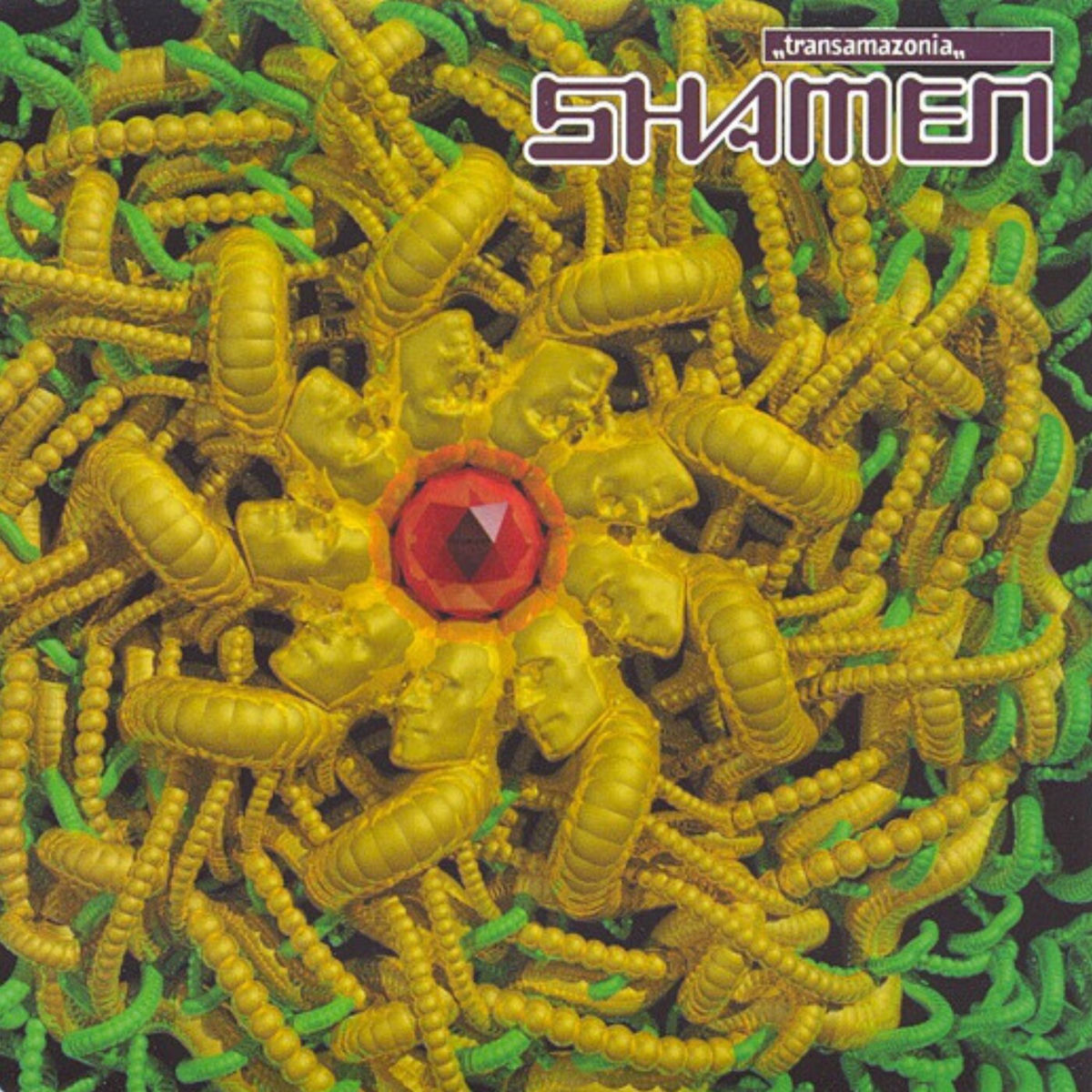 Album cover of Transamazonia