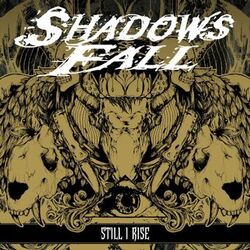 Cover of Still I Rise