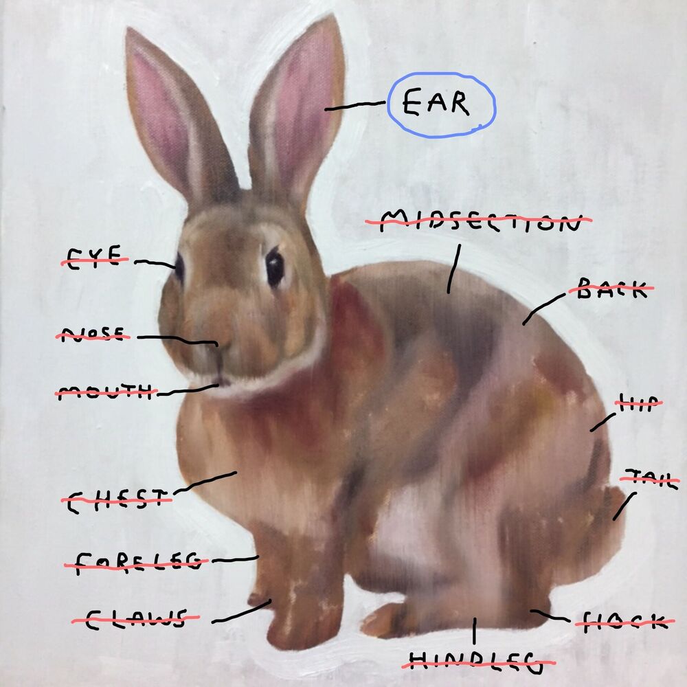 Picture of Rabbit Ear