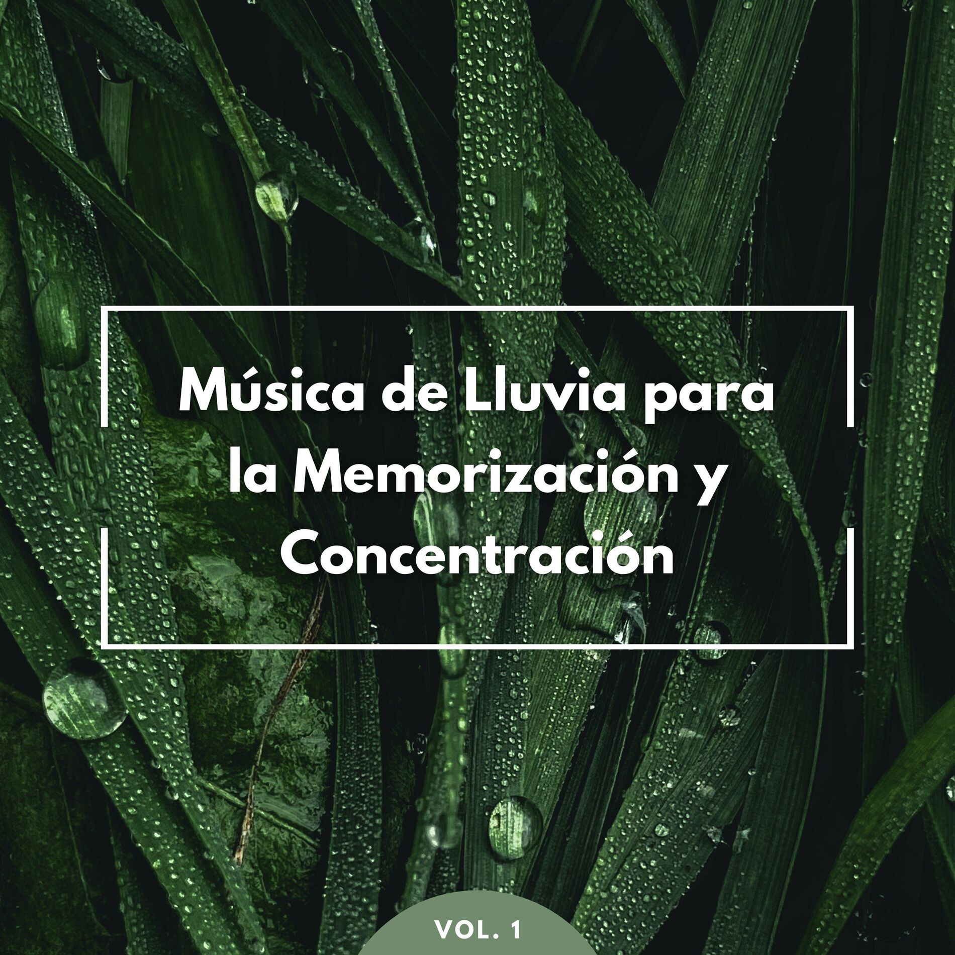 Album cover of Música De Lluvia Para La Memorización Y Concentración Vol. 1