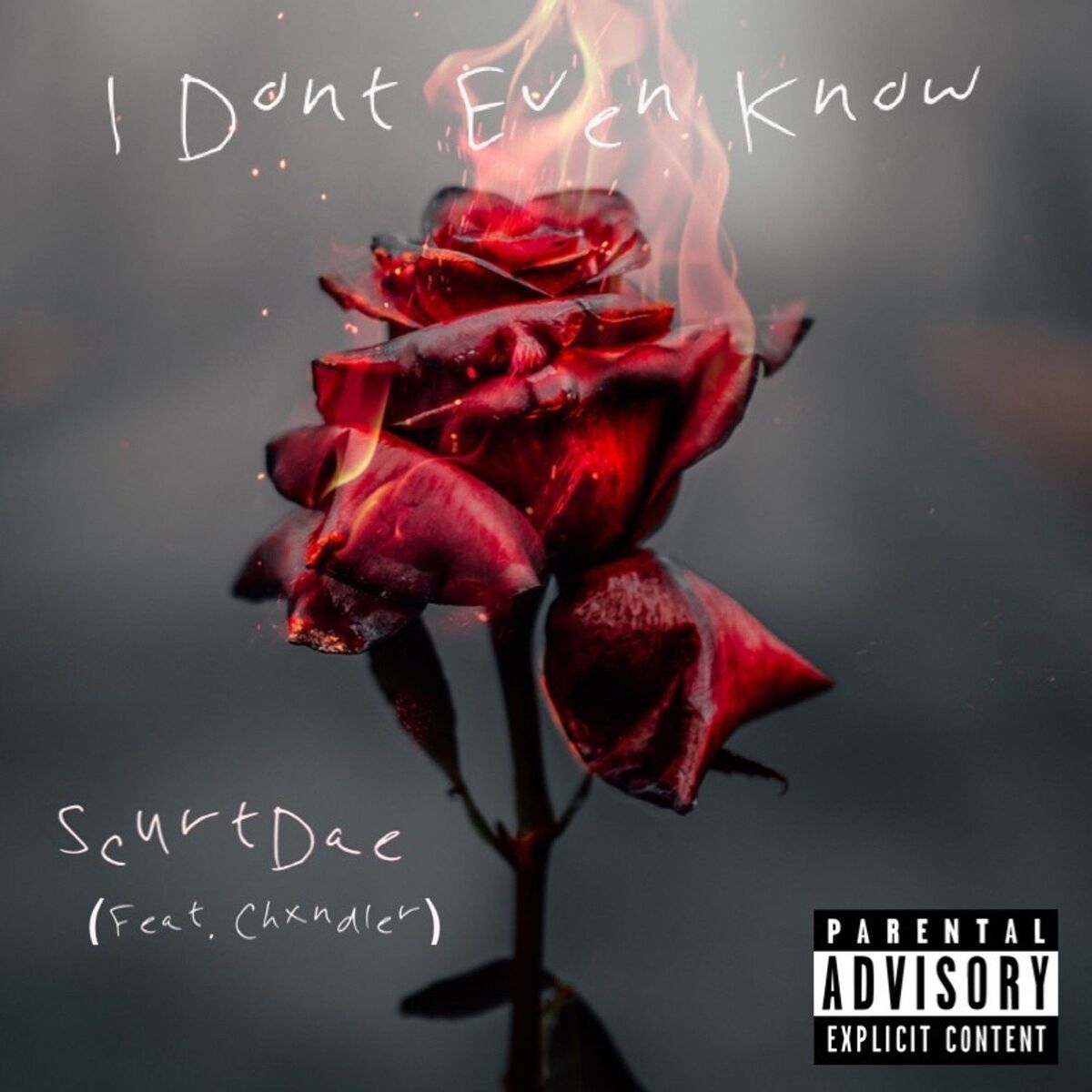 Album cover of I Don't Even Know