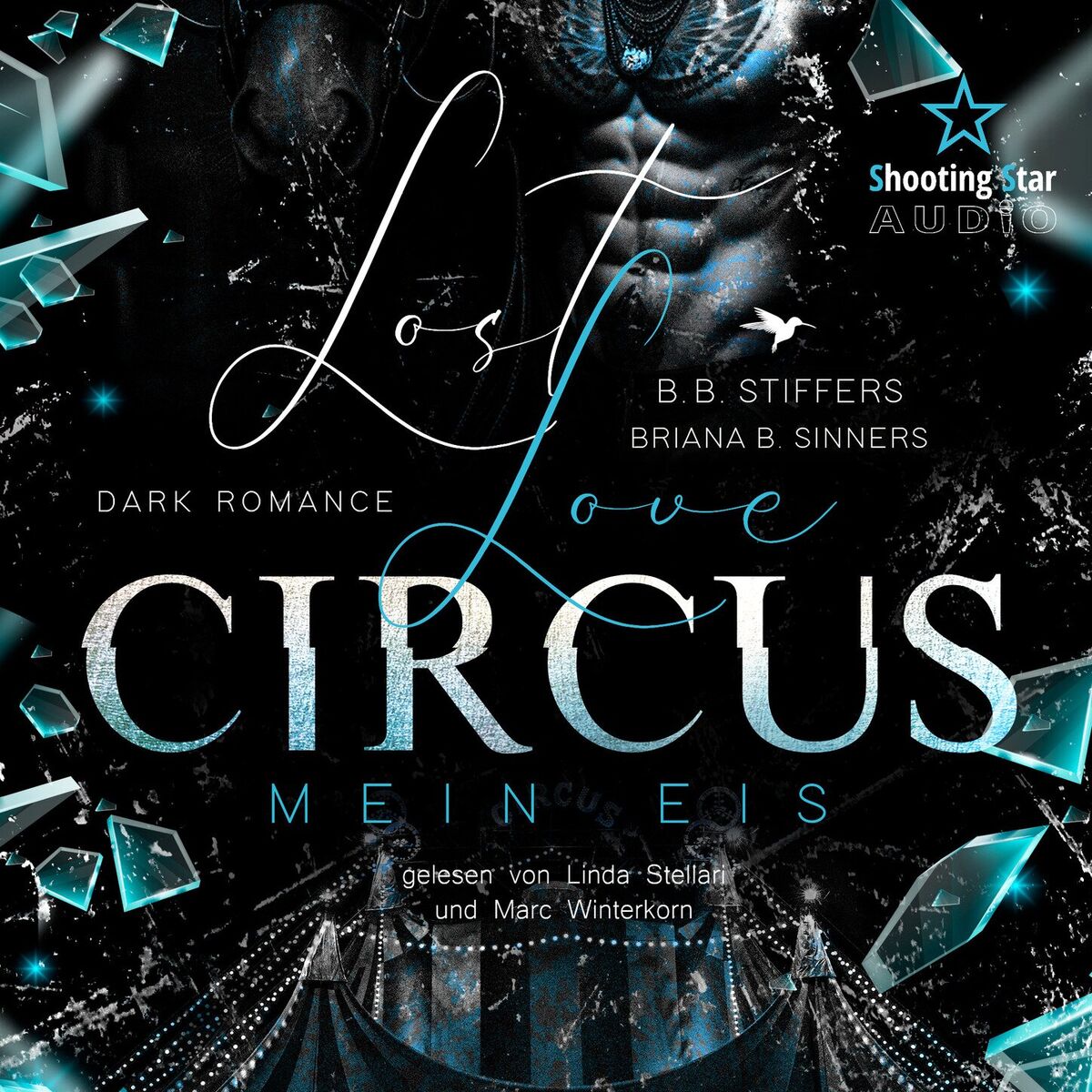 Album cover of Lost Love Circus: Mein Eis - Dark Romance - Enemies to Lovers, Band 2 (ungekürzt)