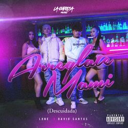 Cover of Arreglate Mami (Descuidada)