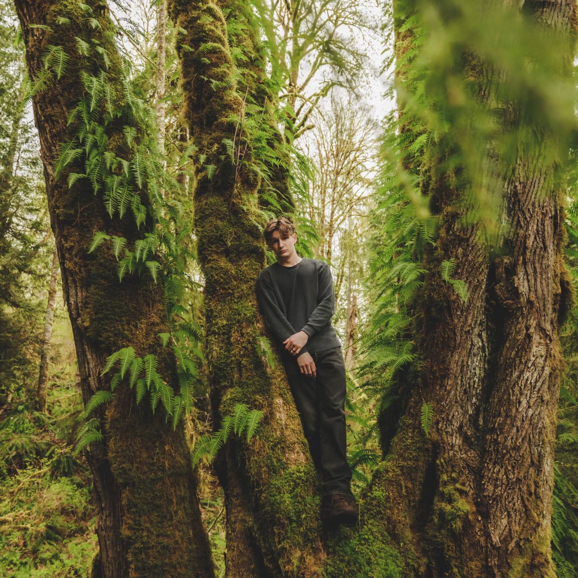 Album cover of Through the Woods