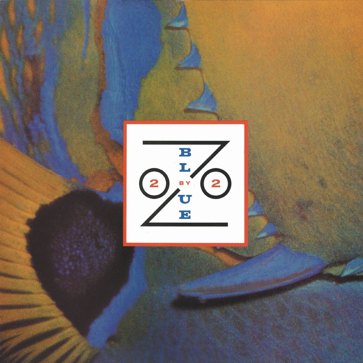 Album cover of 2 By 2