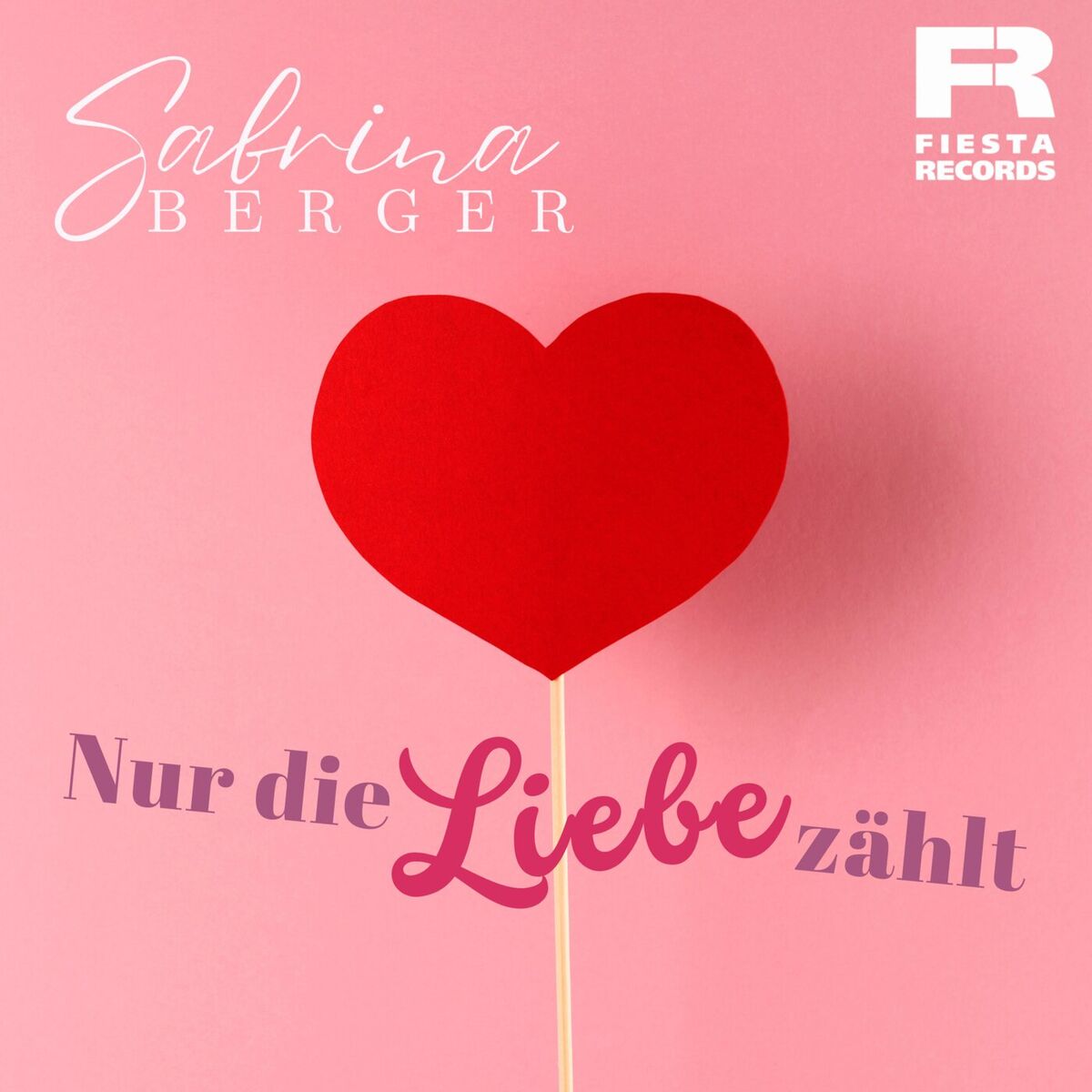 Album cover of Nur die Liebe zählt