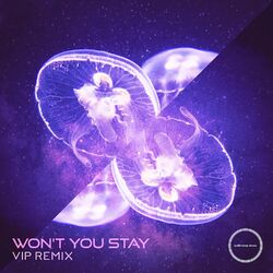 Cover of Won't You Stay (VIP Remix)