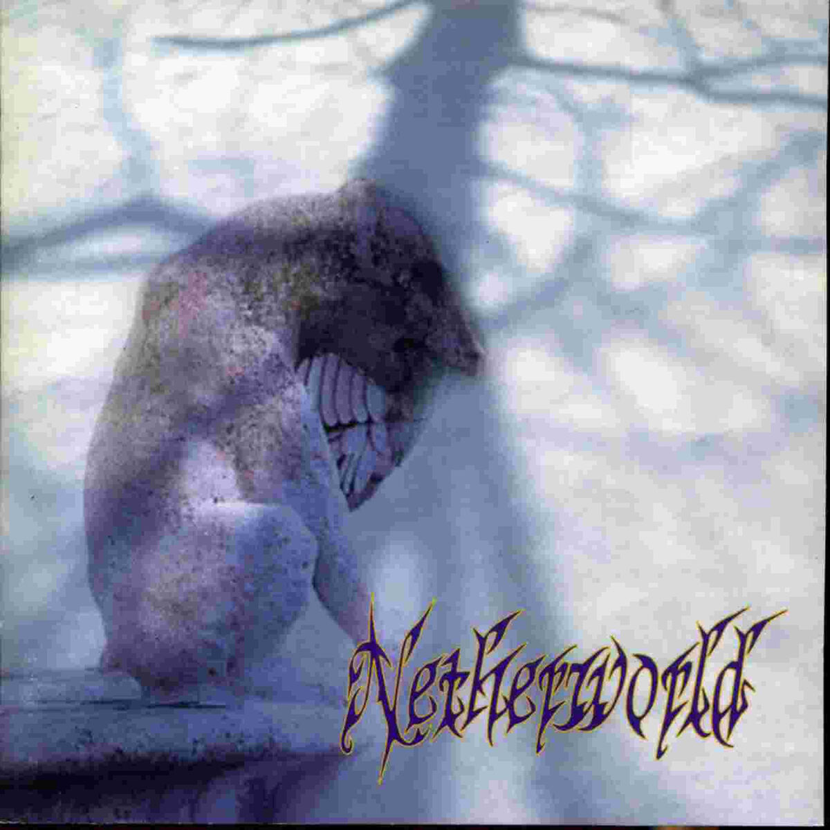 Album cover of Netherworld