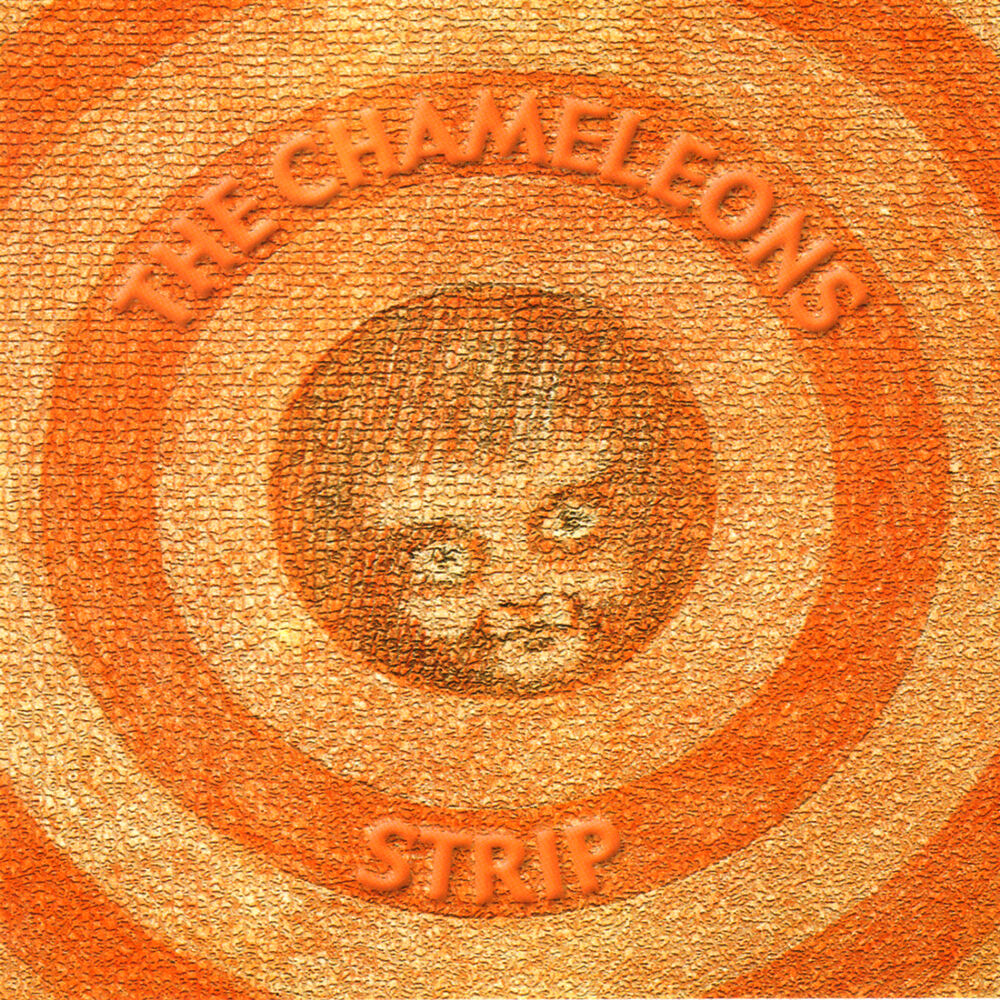 Picture of Strip