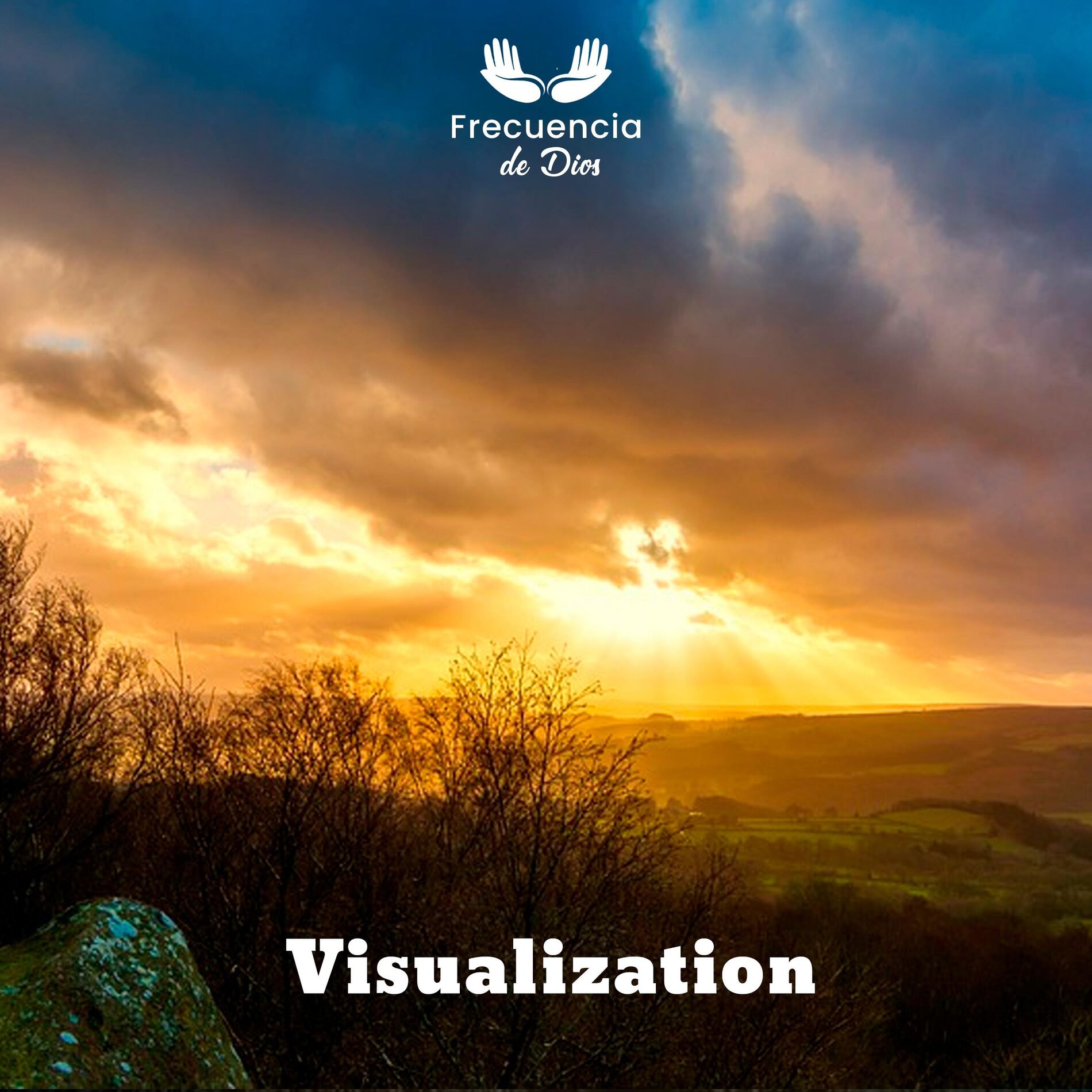 Album cover of Visualization