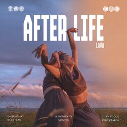 Cover of After Life