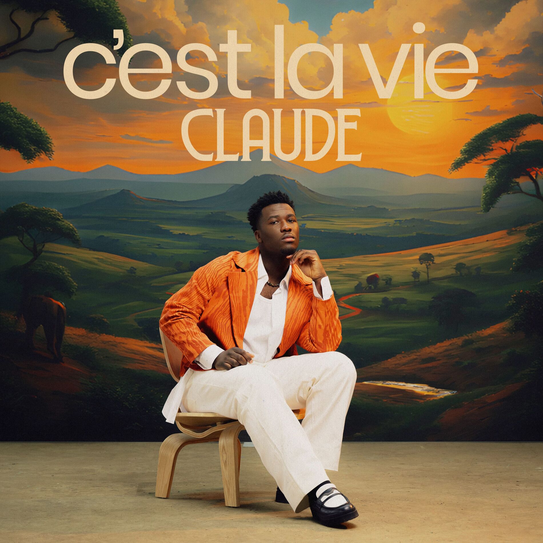 Album cover of C'est La Vie