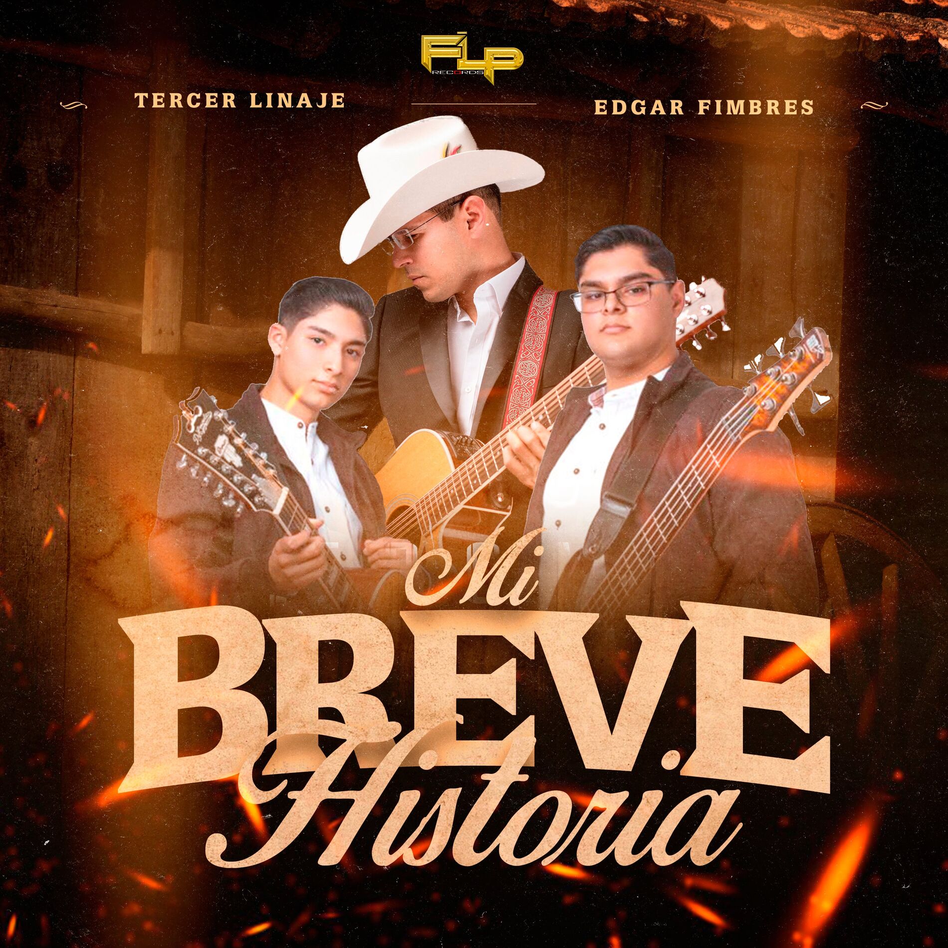 Album cover of Mi Breve Historia