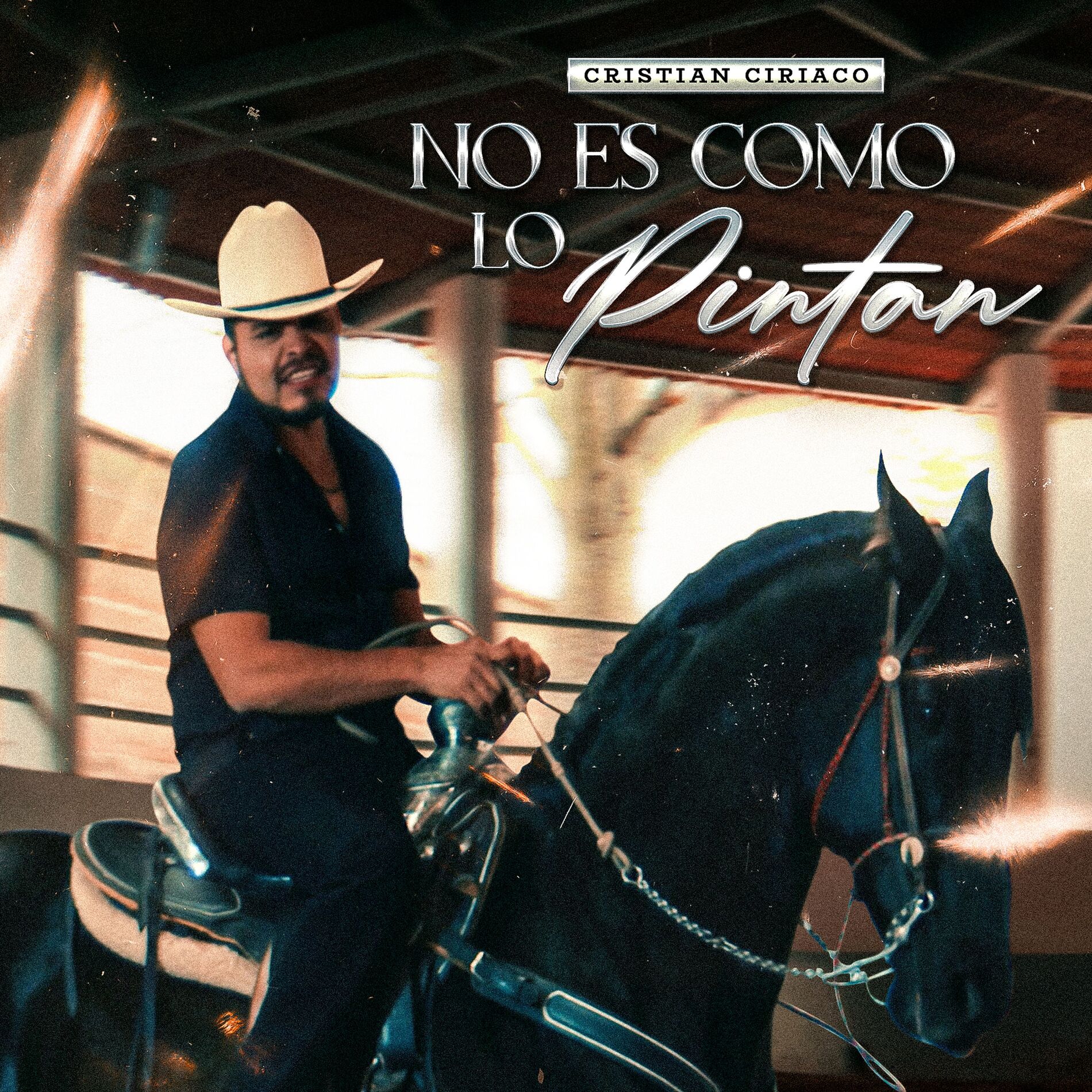 Album cover of No es Como lo Pintan