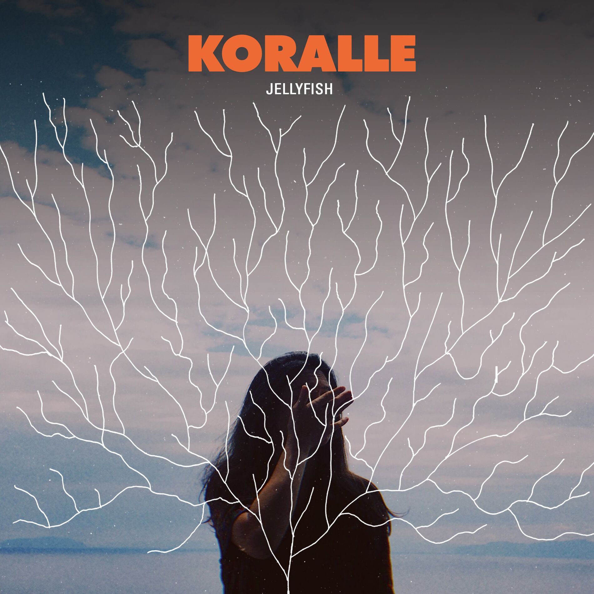 Album cover of Noia