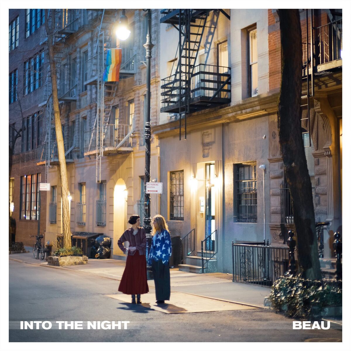 Album cover of Into The Night