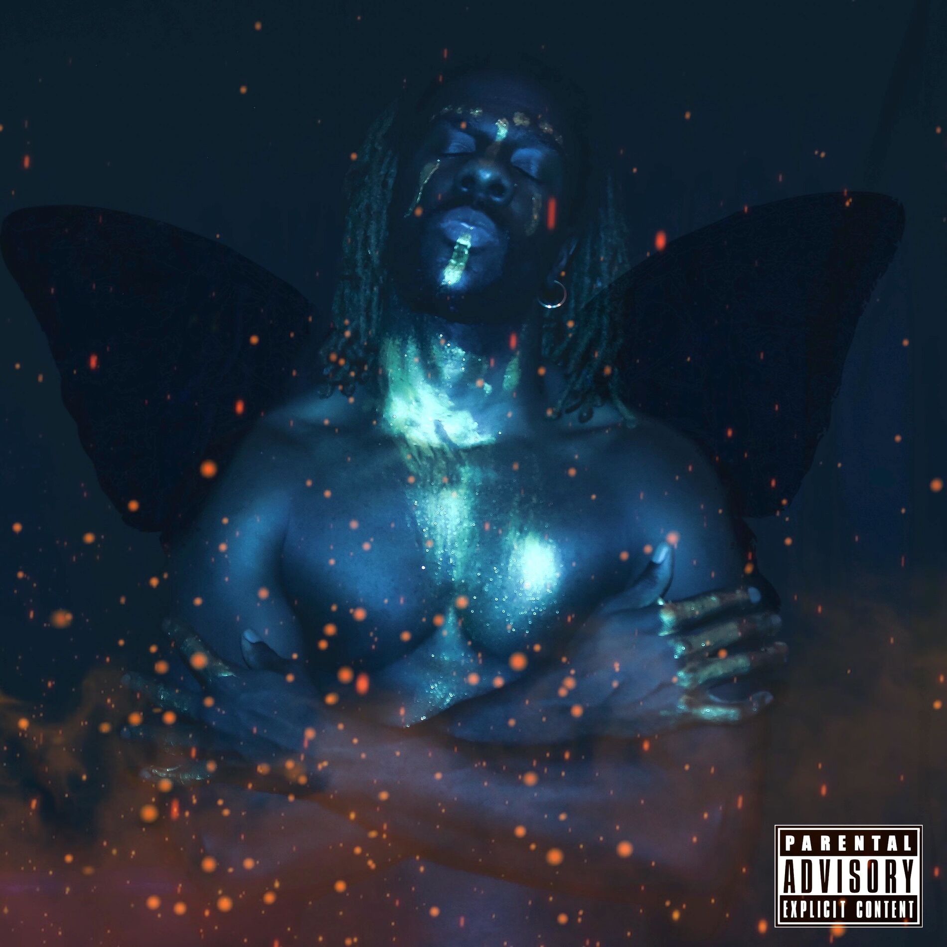 Album cover of Masterpiece: The Black ButterFly Effect
