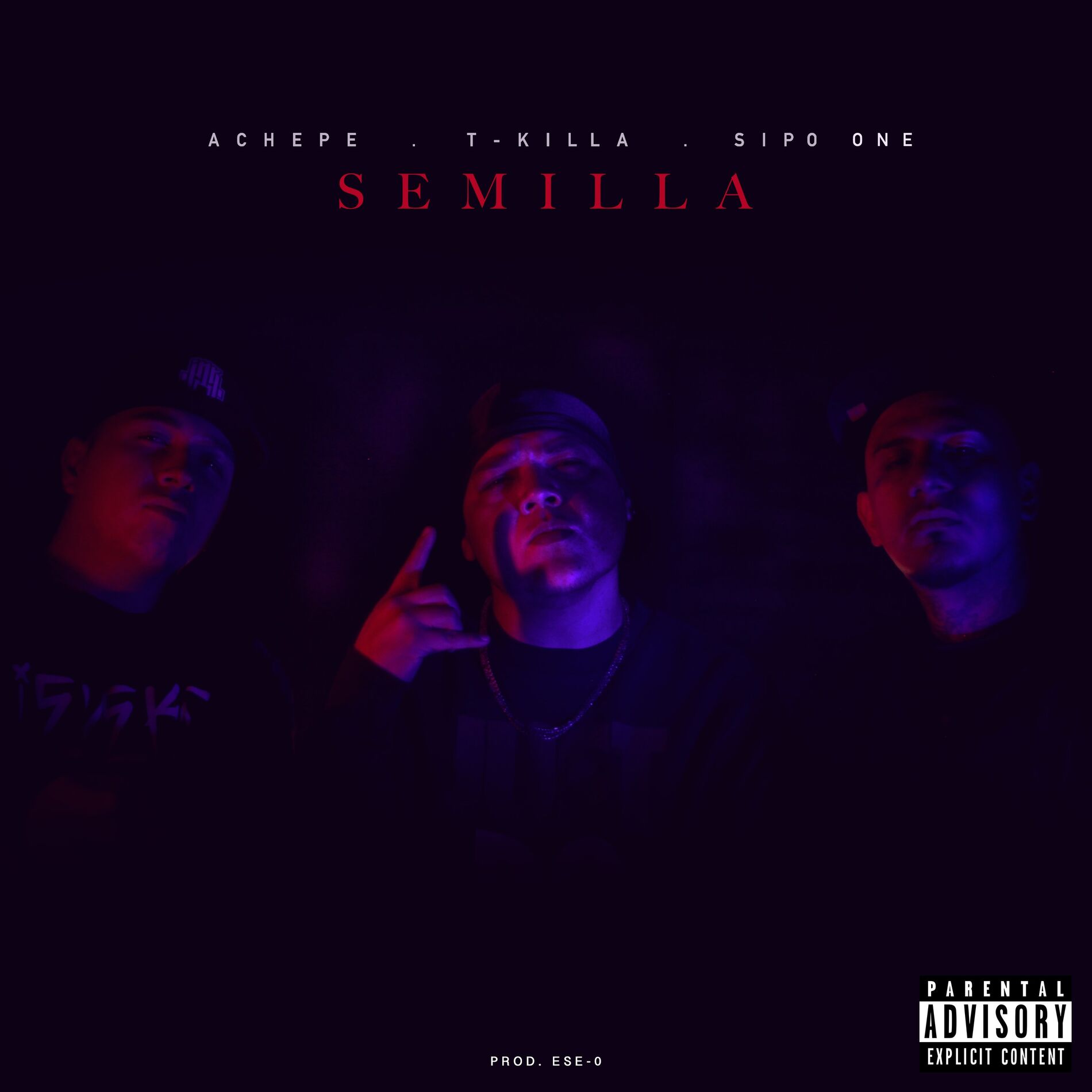 Album cover of Semilla
