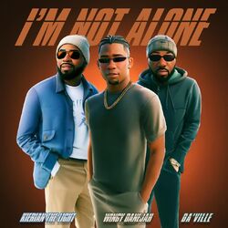 Cover of I'm Not Alone