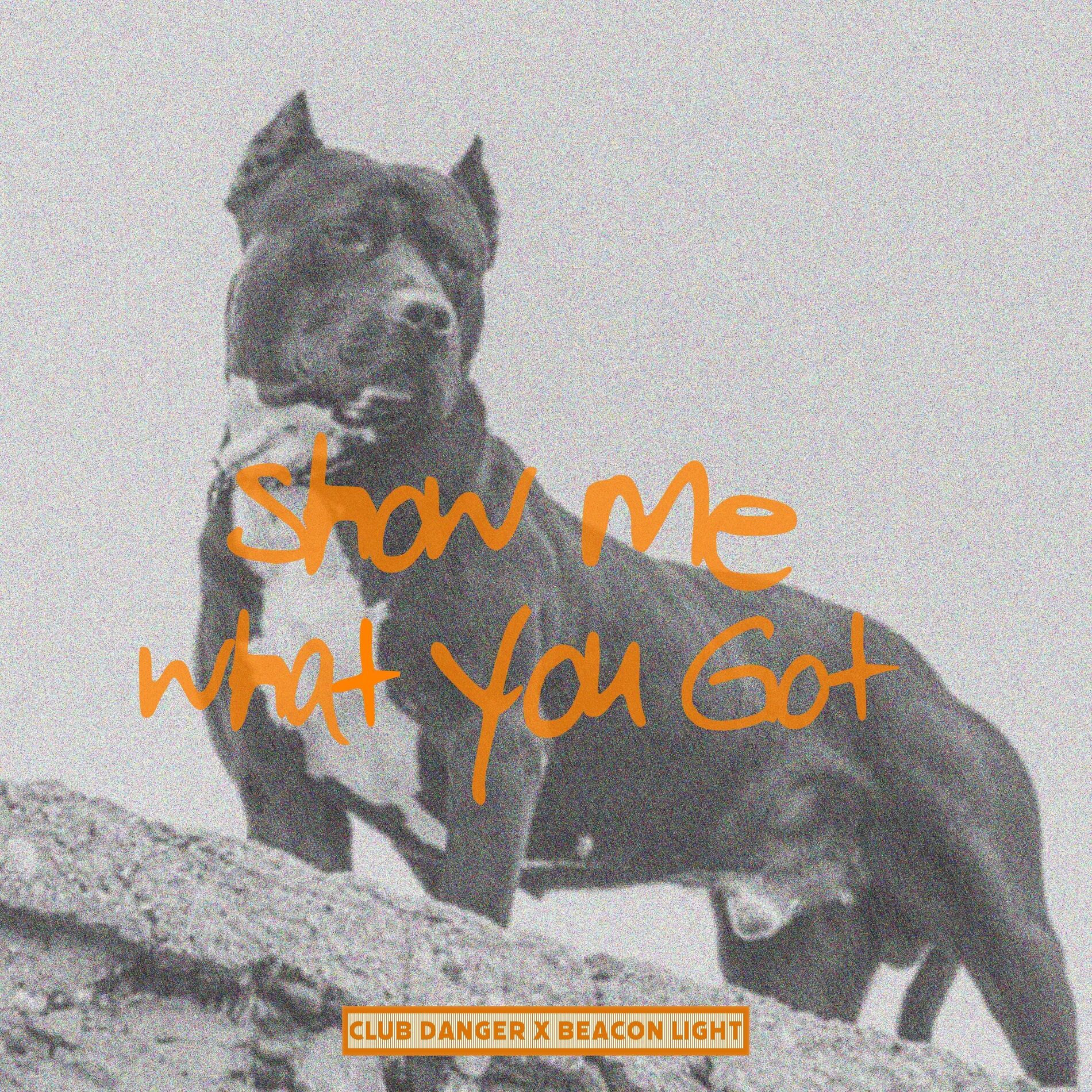 Album cover of Show Me What You Got
