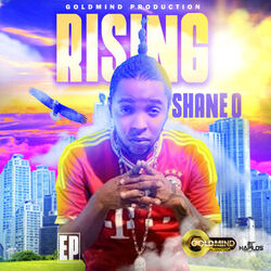 Cover of Rising