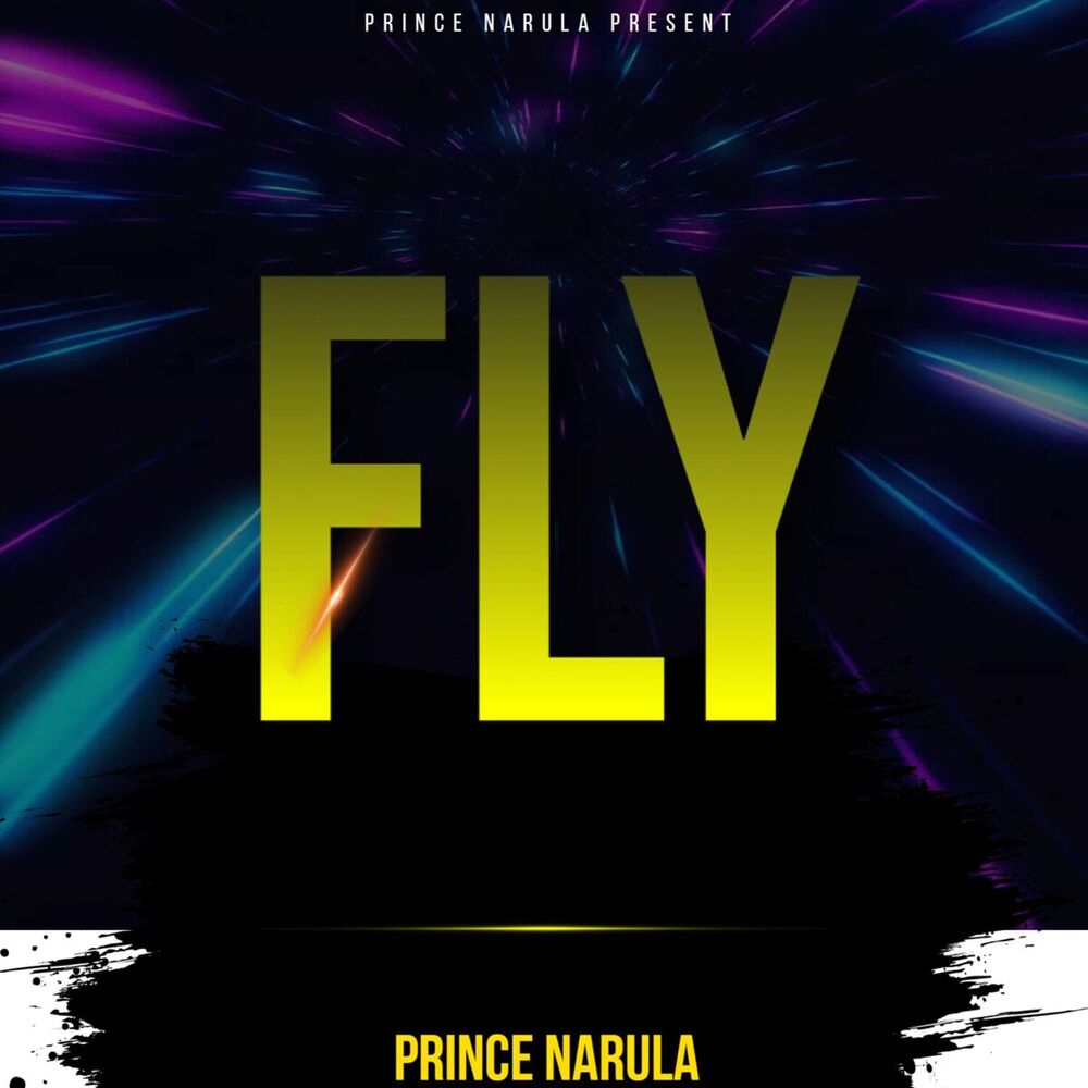 Picture of FLY