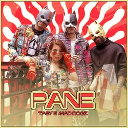 Cover of Pane