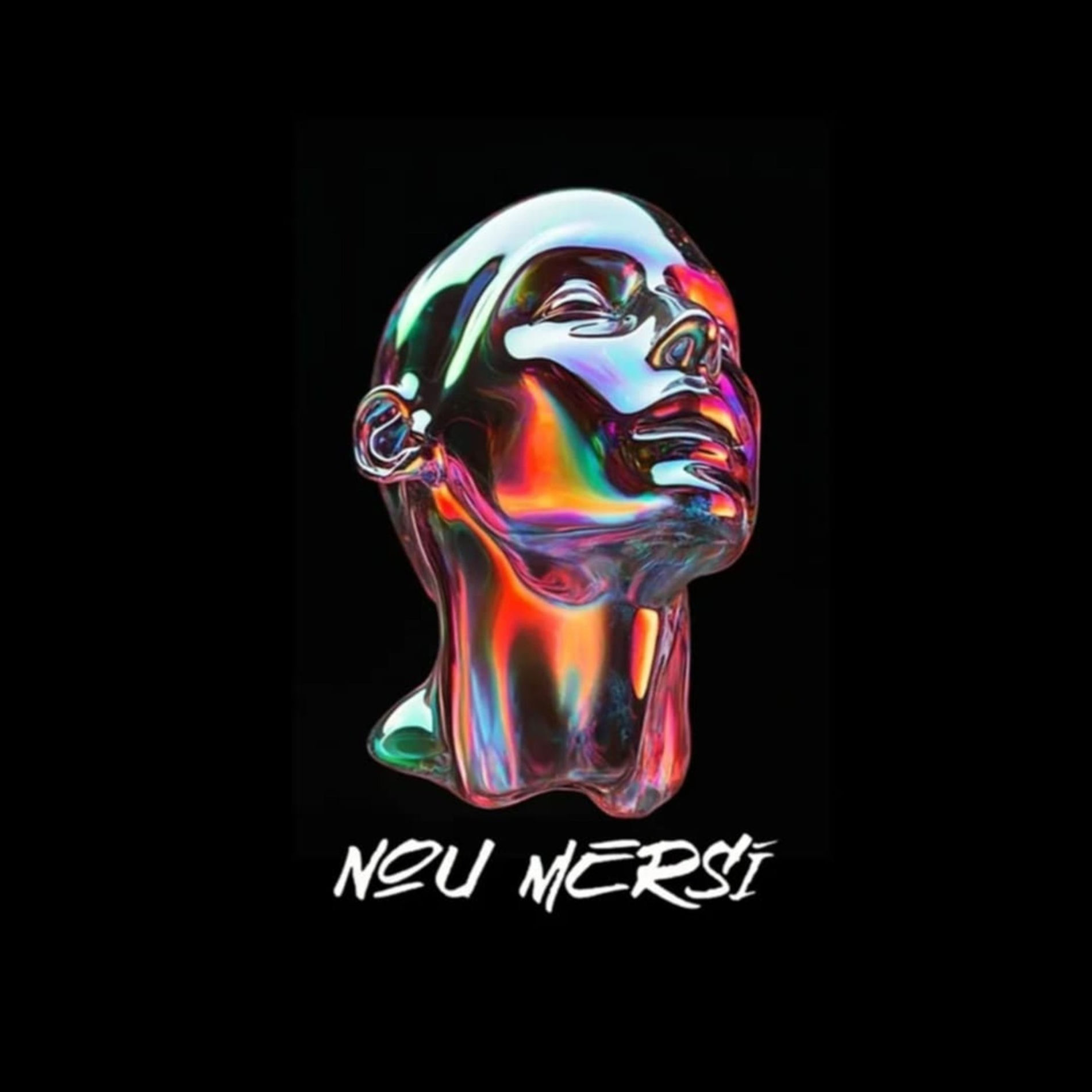 Album cover of NOU MERSI