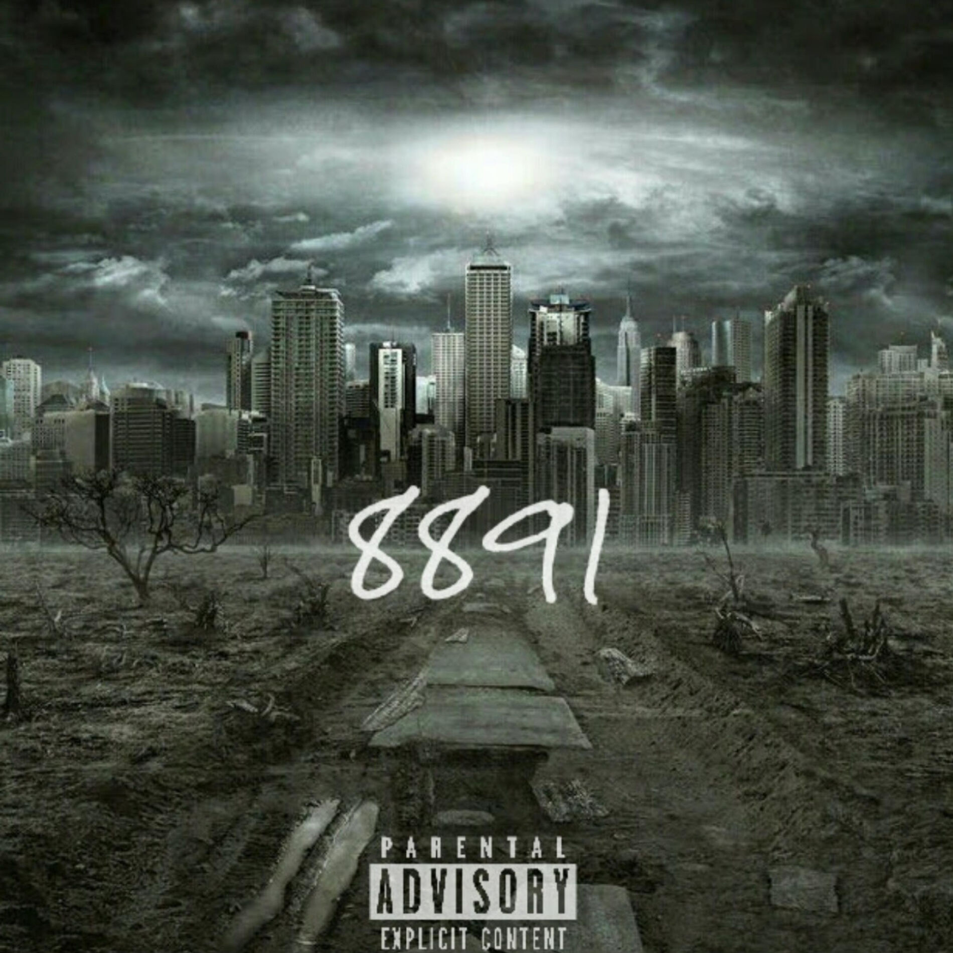 Album cover of 8891