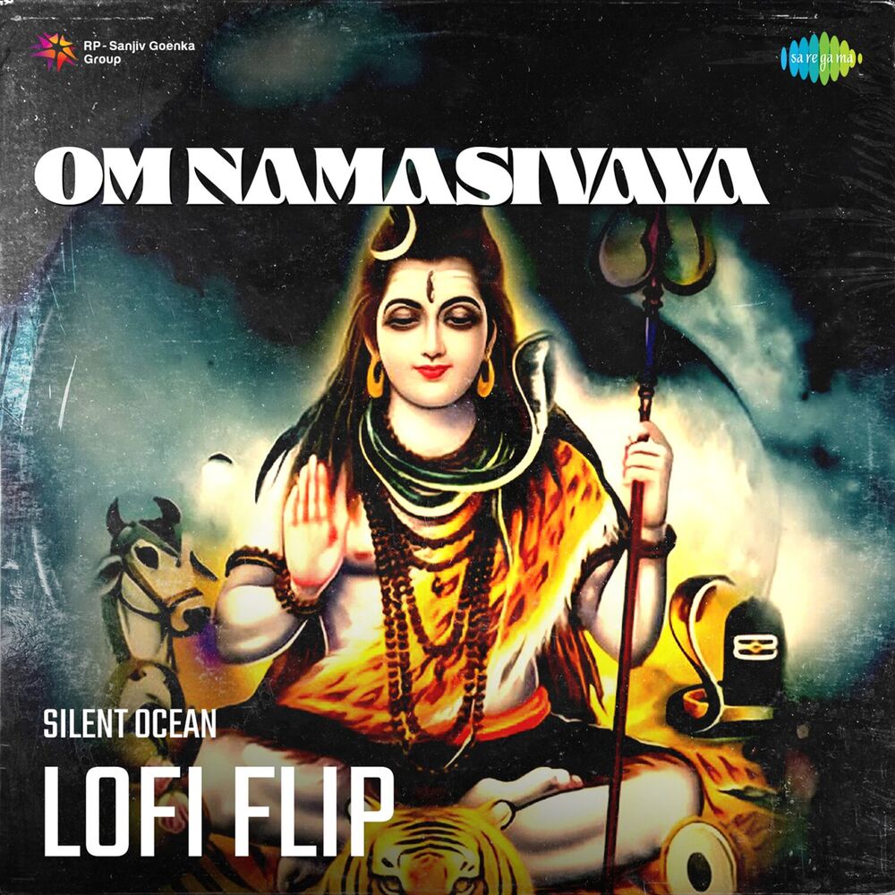 Picture of Om Namasivaya (Lofi Flip)