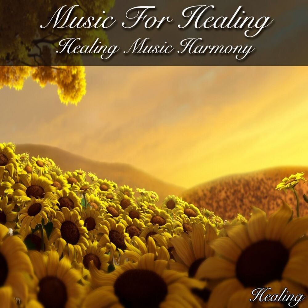 Picture of Music for Healing Healing Music Harmony
