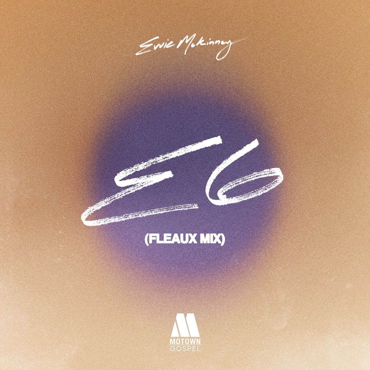 Album cover of E6 (FLEAUX Remix)
