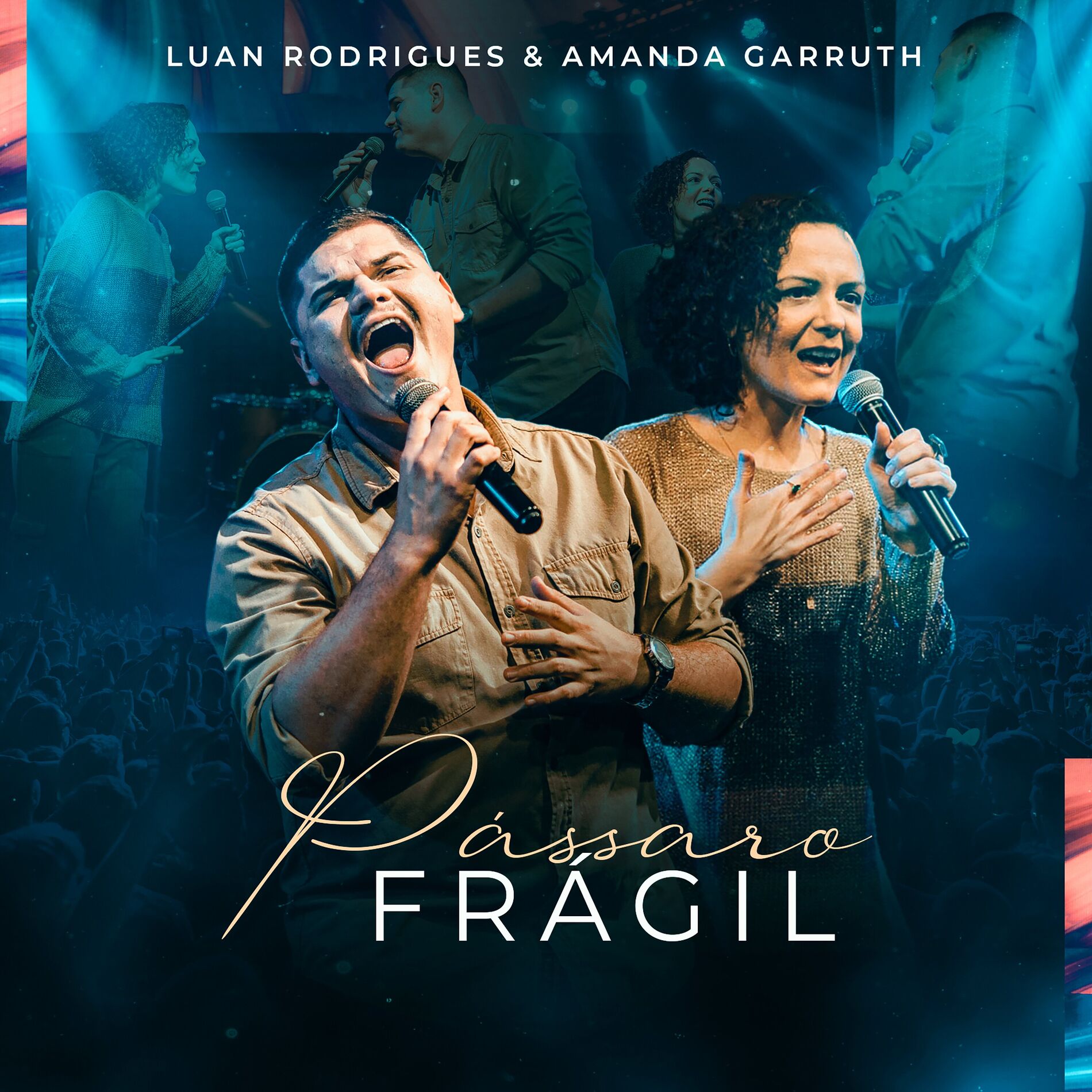 Album cover of Pássaro Frágil