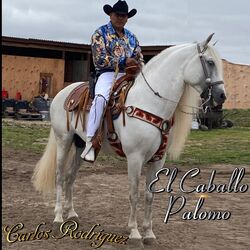 Cover of El Caballo Palomo