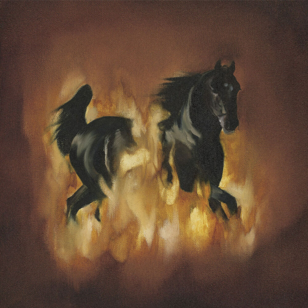 Picture of The Besnard Lakes Are The Dark Horse