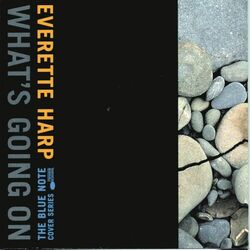Cover of What's Going On