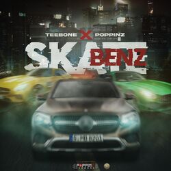 Cover of Skate Benz