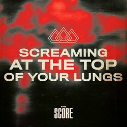 Cover of Screaming At The Top Of Your Lungs