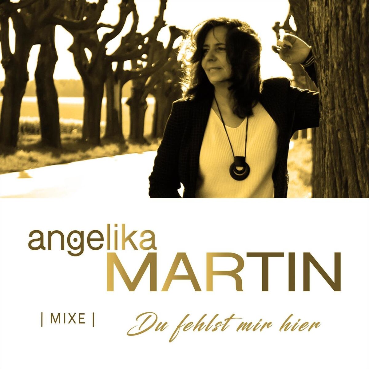 Album cover of Du fehlst mir hier - Mixe
