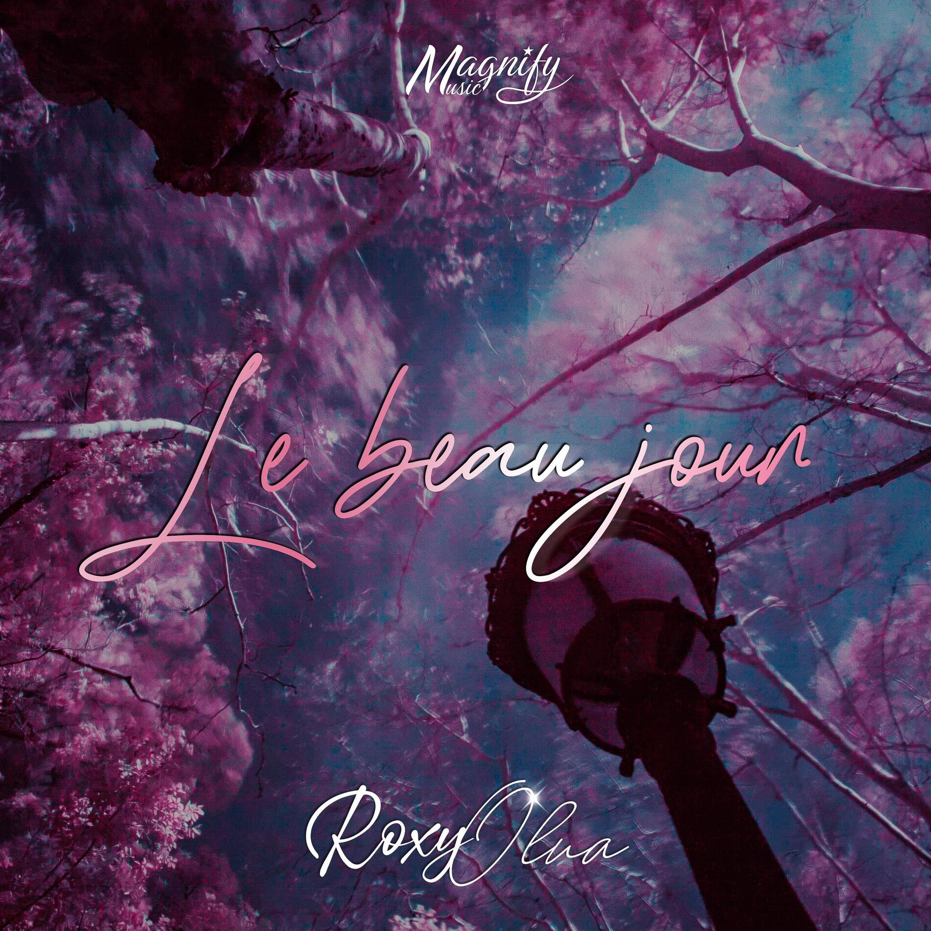 Album cover of Le Beau Jour