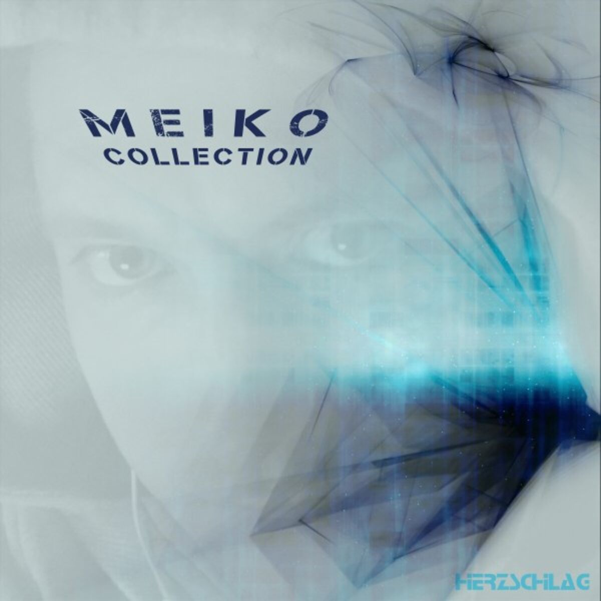 Album cover of The Collection