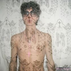 Cover of Born Angel