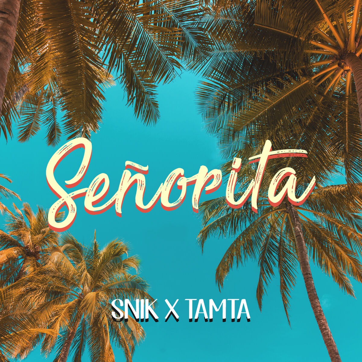 Album cover of Senorita