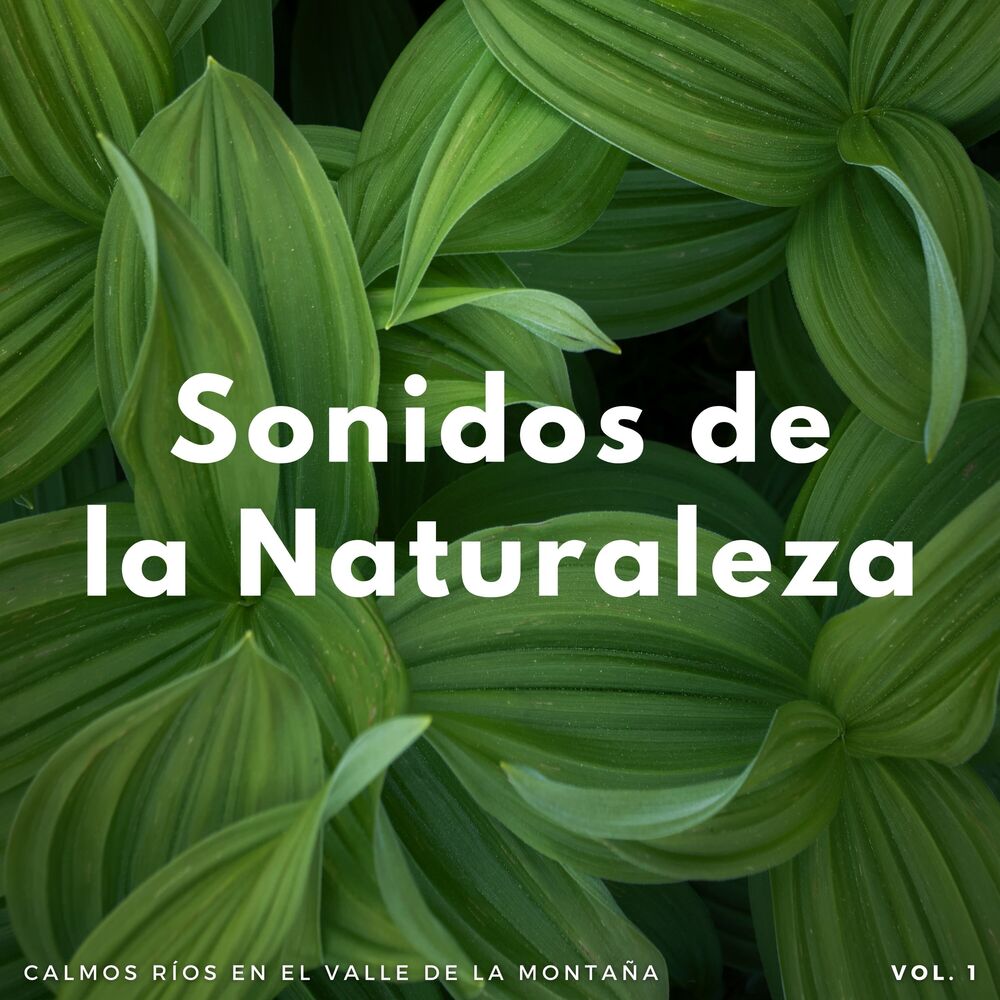 Picture of Sonidos De La Naturaleza: Calmos Ríos En El Valle De La Montaña Vol. 1