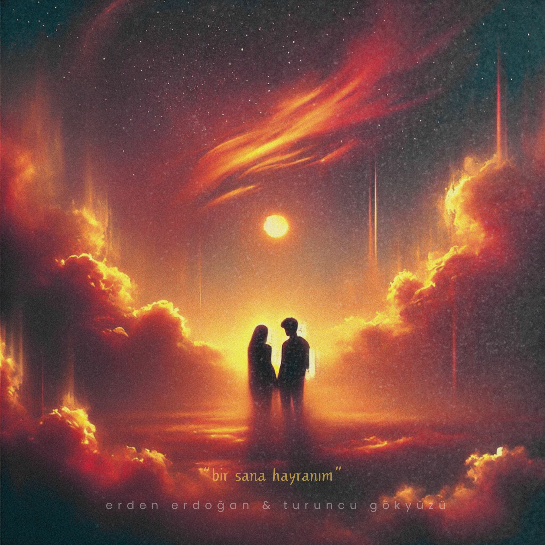 Album cover of Bir Sana Hayranım